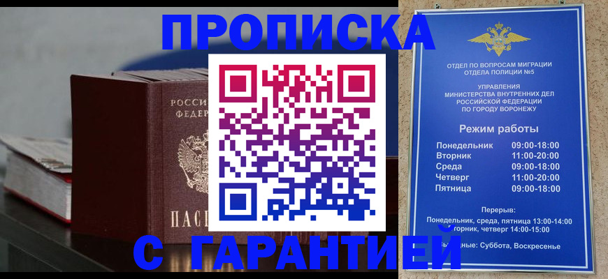 найти адрес прописки в Коле