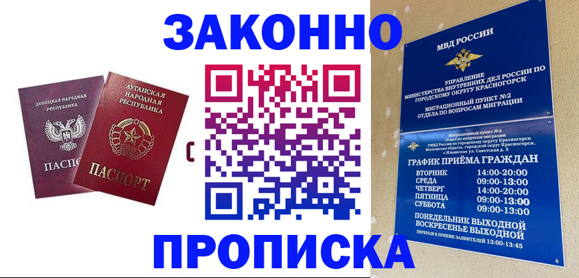 прописка в Коле